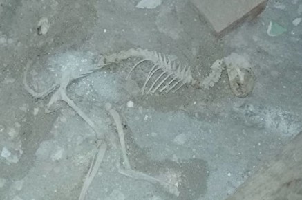 1550860626_0_105_2000_1230_600x0_80_0_0_13554268777565674d146f74c51719f6.thumb