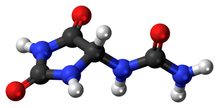 Model_Atom