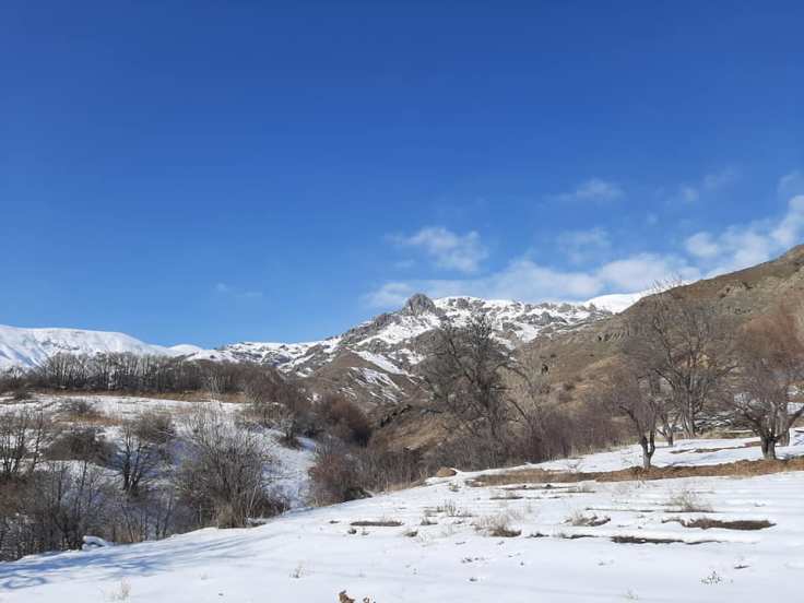 82765245_1920123994798585_2227256777123037184_n