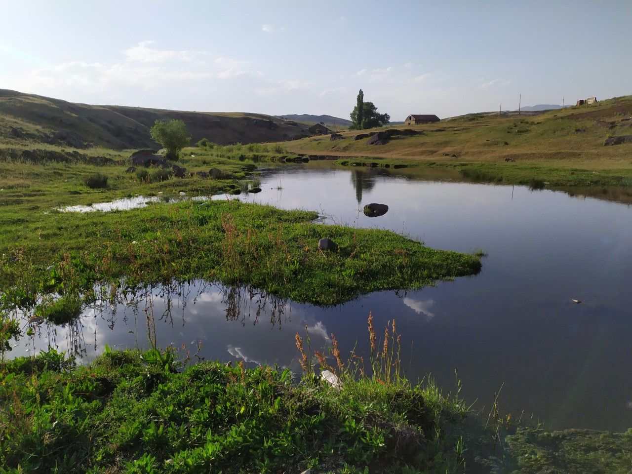 thumbnail_IMG_20210704_191011