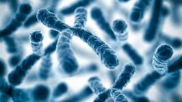 6e27ef387ec20edc_1658259170