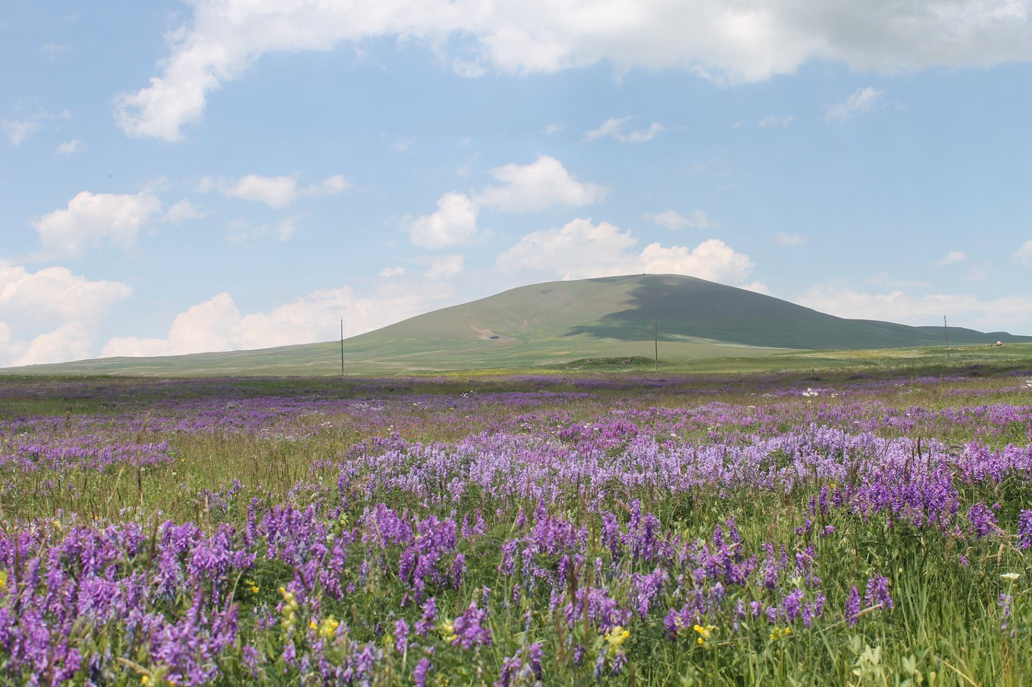 105703449_588672568503291_501666792884947436_n