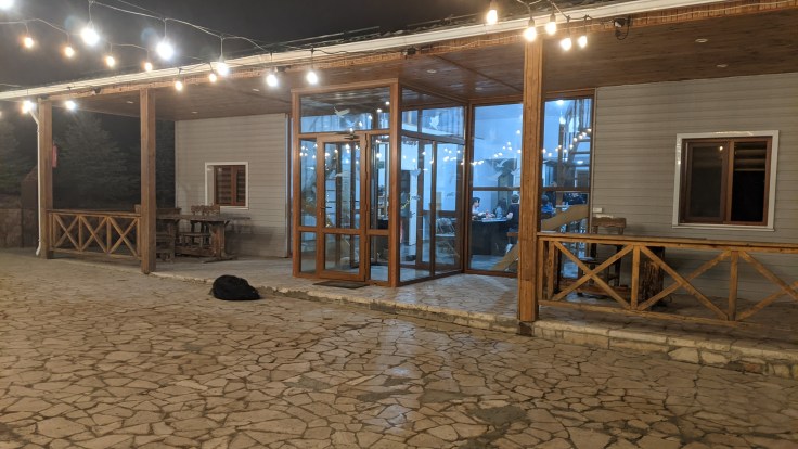 PXL_20240119_145553892