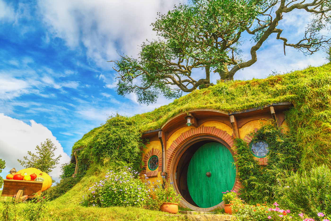 theStyleJungle-NewZealand-iPhones-009